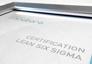 Lean Six Sigma Programs