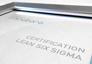 programmes-lean-six-sigma