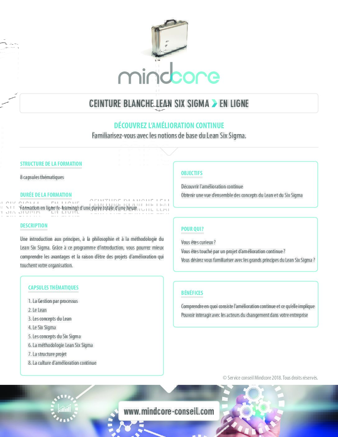 Online Training White Belt - 6 months access - Image 2