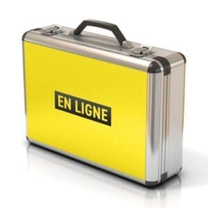 Ceinture Jaune - Formation en ligne accès 6 mois